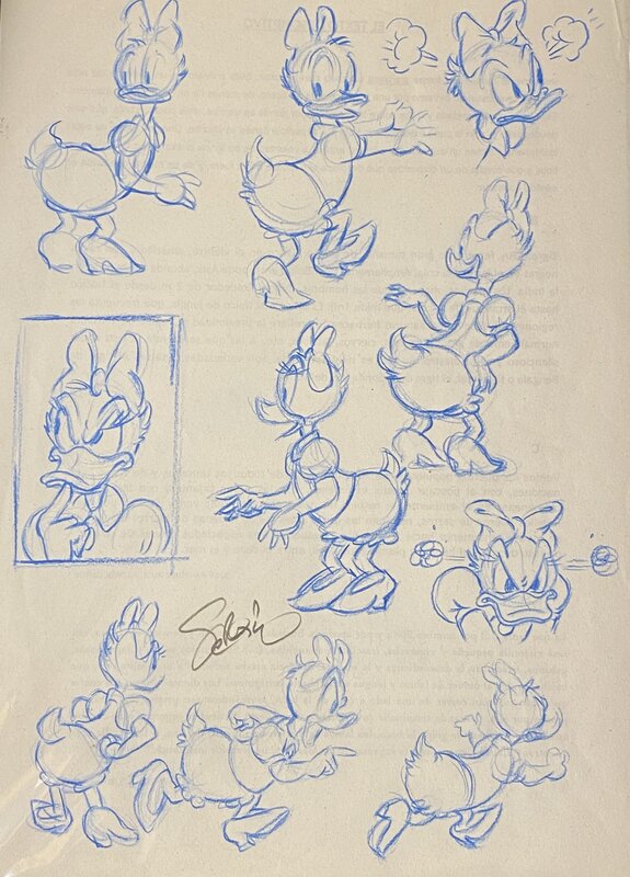 Sergio Garrido, Studios Walt Disney, dessin original technique, Daisy Duck - Original Illustration