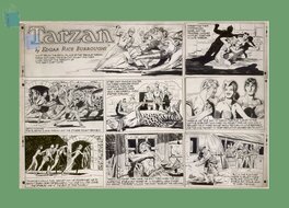 Bob Lubbers - Bob LUBBERS - TARZAN sunday page 03-25-1951 - Planche originale