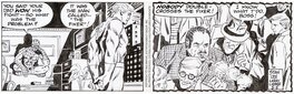 Stan Lee - The Amazing Spider-Man Daily Comic Strip, 5/5/1993 - Comic Strip