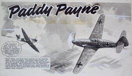 Lacey's Paddy Lacey's Paddy