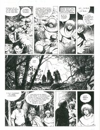 Thierry Cayman - Sylvain de Rochefort - Comic Strip