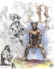 Nicolas Bournay - Wolverine - Œuvre originale