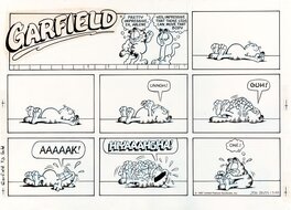 Jim Davis - Garfield - Sunday du 03/01/1988 - Comic Strip