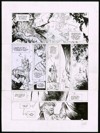 Vincent Mallié - La Quête de l'Oiseau du Temps, La Voie du Rige, Planche originale 67 - Comic Strip