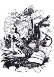 Dimat - Catwoman & Harley Quinn : Soirée copines - Illustration originale