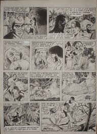 Antonio Borrell - Tamar de Antonio Borrell - Comic Strip