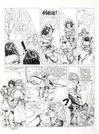 Philippe Delaby - Bran - Comic Strip