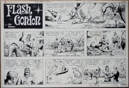 Flash Gordon Flash Gordon