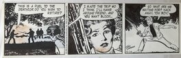 Stan Drake - Juliet Jones - Comic Strip