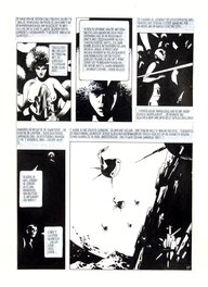 Dick Matena - 1984 - Lazarus Stone (Page - Dutch KV) - Comic Strip