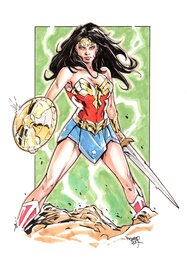 Romano Molenaar - Wonder Woman Commission 2017 - Original Illustration