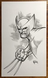 Eric Powell - Wolverine - Comic Strip
