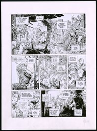 Vincent Mallié - La quête de l'Oiseau du temps. Tome 4. Planche 28 - Comic Strip
