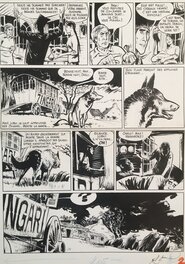 René Follet - Les Zingari . Les oiseaux noirs - Comic Strip