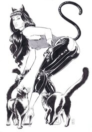 Mika - Catwoman par Mika - Original Illustration