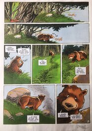 Pyrėnée . Planche 14 . Pyrėnée . Planche 14 .