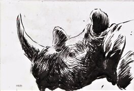 Jordi Macabich - Tête de rhinocéros - Illustration originale