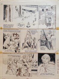 Eduardo Coelho - Robin des Bois - Comic Strip