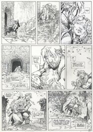 Comic Strip - Aouamri, La Quête de l'Oiseau du Temps, Le grimoire des Dieux, Cycle avant la Quête T2, planche n°56, 2007.