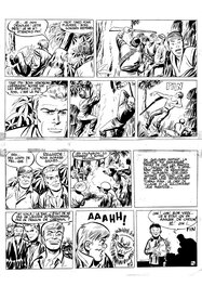 Gérald Forton - Tiger Joe - Comic Strip