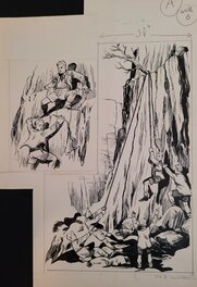 Don Lawrence - Story Dolpin Magazine - Planche originale
