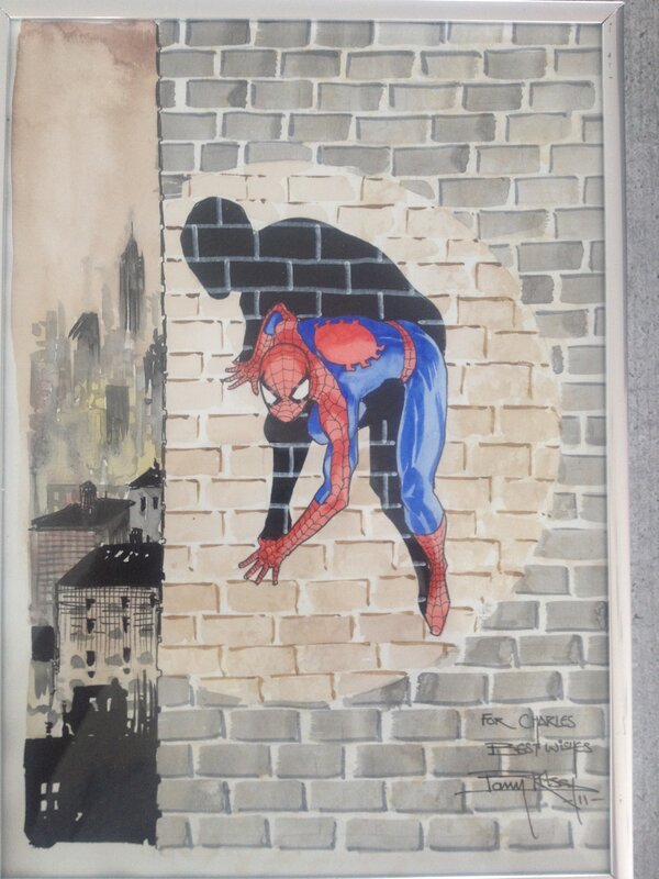 Spiderman par Barry Kitson - Illustration originale