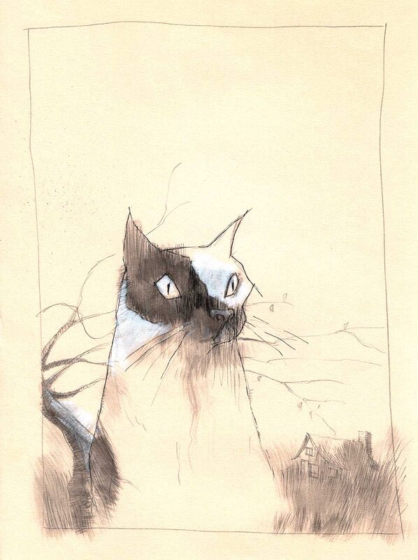 Cat by Ashley Wood - Original Illustration