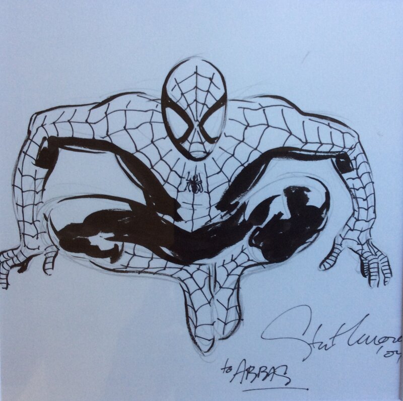 Spiderman by Stuart Immonen - Sketch