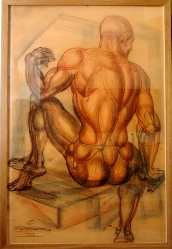 Burne Hogarth, Burne Hogart - anatomical academic design - Illustration originale