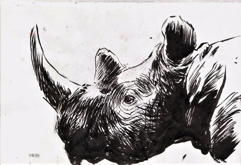 Tête de rhinocéros by Jordi Macabich - Original Illustration