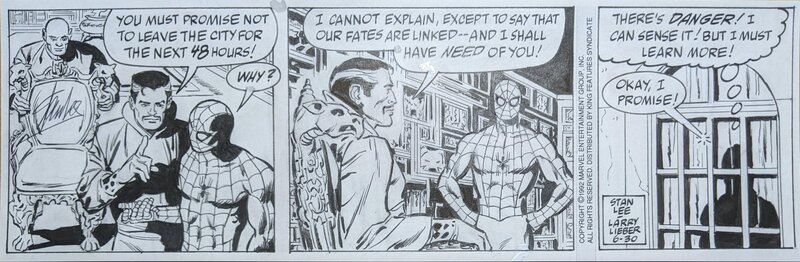 Larry Lieber, Stan Lee, The Amazing Spider-Man: Newspaper Comic Strip - 30/06/1992 - Planche originale