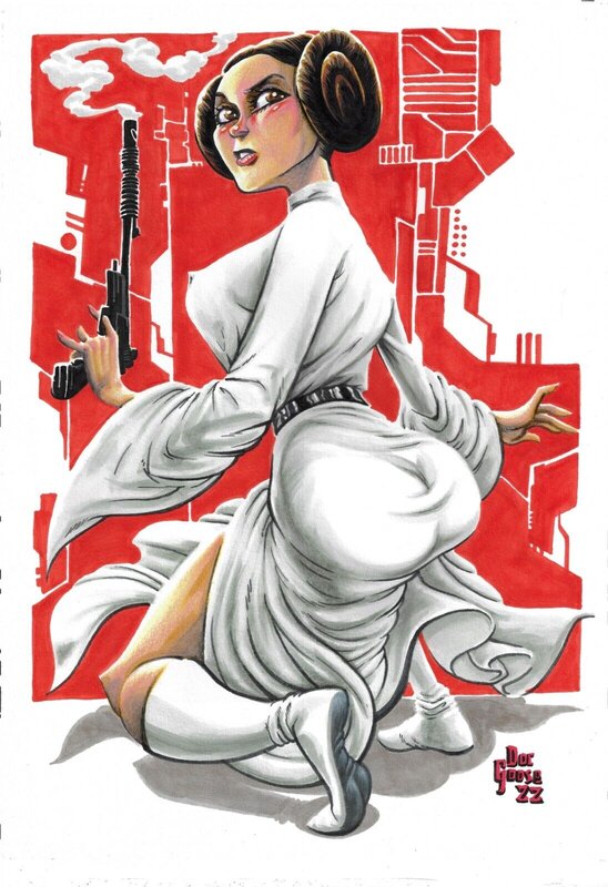 Doc Goose, Star Wars Princesse Leia Organa - Original Illustration