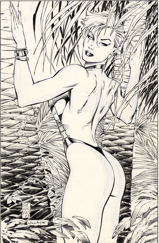 Marc Silvestri, Scott Williams, Homage Studios Swimsuit Special #1 P14 : Ballistic - Illustration originale