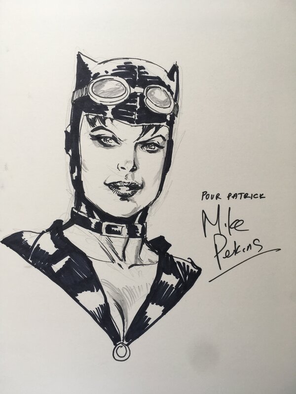 Cat Woman by Mike Perkins - Sketch
