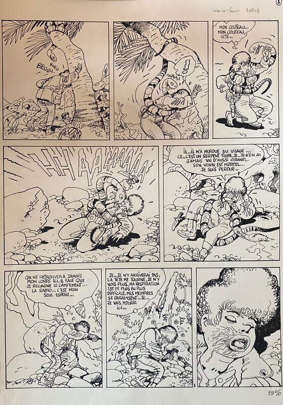 Marc Wasterlain, planche originale, Jeannette Pointu . - Comic Strip